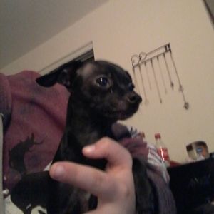 Meet your Posher, Tylyr